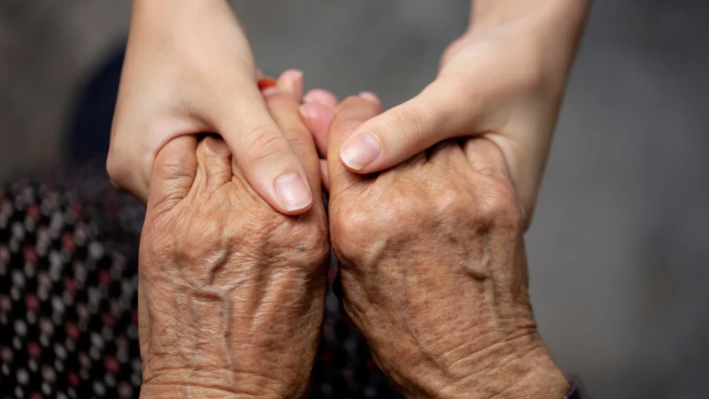 Avit verlengt succesvolle samenwerking met ZONL met 5 jaar